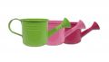Gießkanne Ø5,5cm H5,5cm 12St. grün/pink/dkl.pink