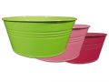 Schale rund Ø18cm H9cm 6St. grün/pink/dkl.pink