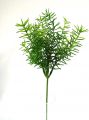 Asparaguspick 24cm (24St.)