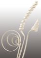 Cane Sortiment mini gebleicht 75St.