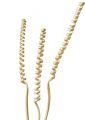Cane Spring natur 25St.