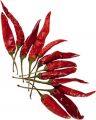 Chillie rot kurz Chili 250g