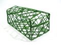 Mooscorselet 1/1 flach (20St.)