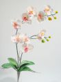 Orchidee x2 60cm weiß-rosa