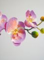 Orchidee x2 60cm flieder