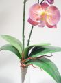 Orchidee x2 60cm flieder