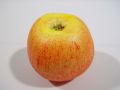 Apfel 5cm cox 24St.