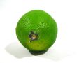 Limonen grün 8,5cm (12St.)