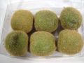 Kiwi 6cm (6St.)