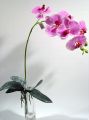 Orchidee lila 82cm mit Blätter und Luftwurzeln