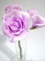 Rose Gracia flieder 5cm (27St.)