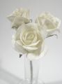 Rose Gracia creme 5cm (27St.)