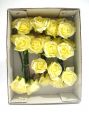 Rose Gracia gelb 5cm (27St.)