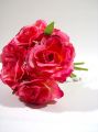 Rosen pink 21cm (6St.)