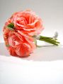 Rosen rosa 21cm (6St.)