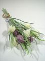 Schachbrettblume (6St.)