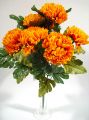Chrysantheme gelb mit 7 Blüten