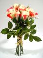 Rosen weiß/rosa (9St.)