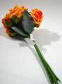 Rosen 25cm apricot (28St.)
