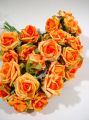 Rosen 25cm apricot (28St.)