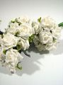 Rosen 25cm cremeweiß (28St.)