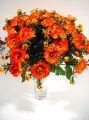 Chrysanteme x42 orange