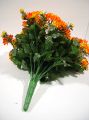 Chrysanteme x42 orange