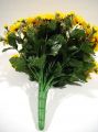 Chrysanteme x42 gelb