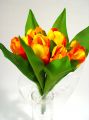 Tulpen orange/gelb (6St.)