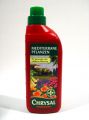 Chrysal mediterrane Pflanzen 500ml