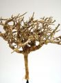 Dry Tree natur (500gr)