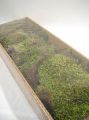 Indianmoos/Waldmoos naturgrün 500g