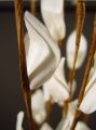 Coco braun mit Coco Lily (20St.)