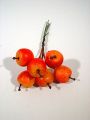 Äpfel 2cm cox am Draht 54St.
