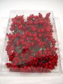 Beerenbund 8/14mm rot 21 Bündel