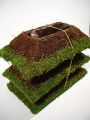 Kissen Moos / Rebe 20x35cm 3St