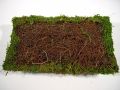 Kissen Moos / Rebe 20x35cm 3St