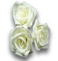 Foamrose Ø8cm Creme 24St.