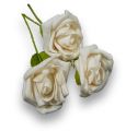 Foam Rose Ø 6cm creme 24St.