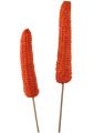 Maiskolben am Stiel orange 20St.
