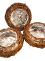 Pflanzenschale aus Weinrebe Ø25cm 3 St. natur