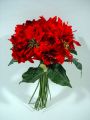 Poinsettiastrauß / Weihnachtsstern - Blüten x12 rot