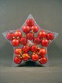Weihnachtskugel Plastik 5cm rot 20St.