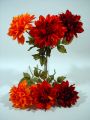 Dahlie 34cm rost/rot 6St