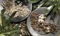 Dekogranulat kaffee 2-3mm 2kg