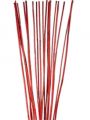 Elephanten Reed rot 20St.