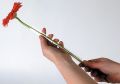 Gerbera Stütz Schlauch 200m