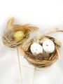 Vogelnest m. Eiern a. Pick 6cm 12St