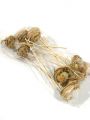 Vogelnest m. Eiern a. Pick 6cm 12St