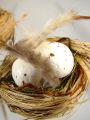 Vogelnest m. Eiern a. Pick 6cm 12St
